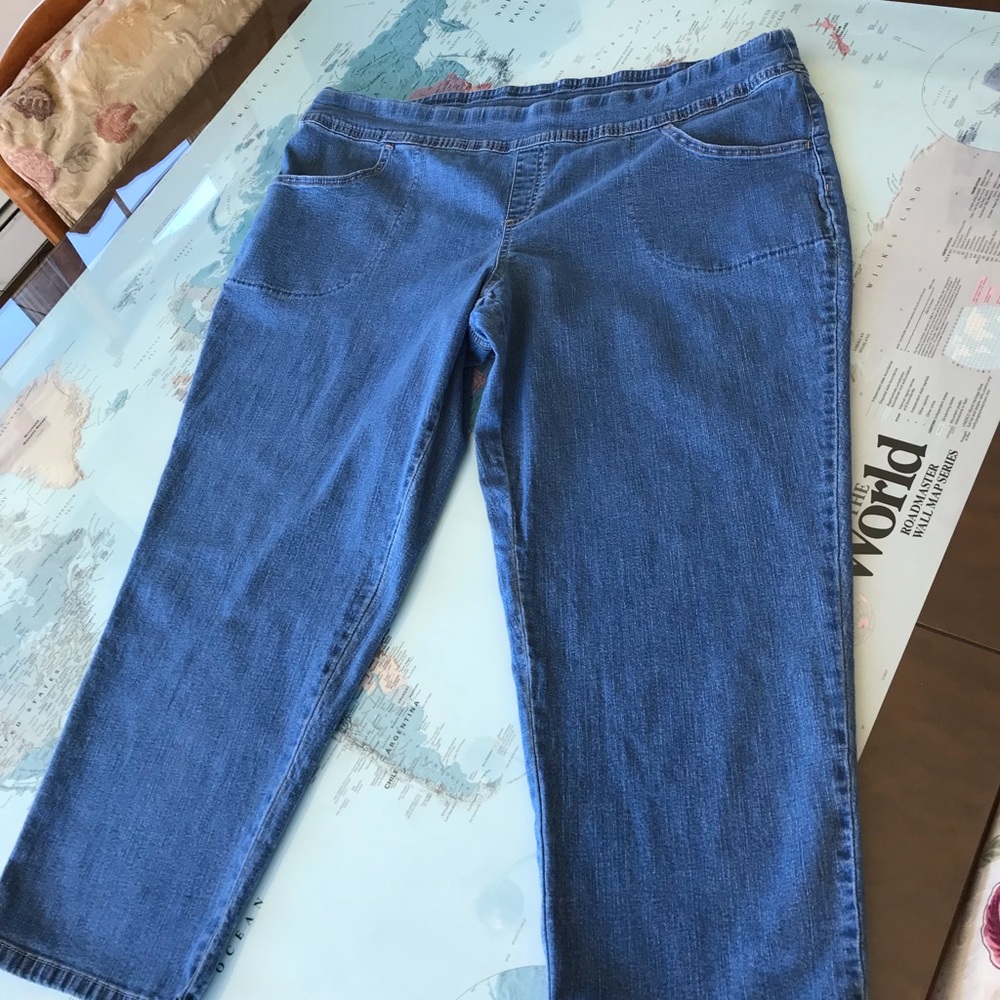 Terra & Sky Women’s Size 2X PETITE jeans.